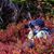 Diane K. Fetzner's profile image