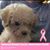 Jo Wilbur's profile image