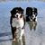 Kathi Seaman's profile image