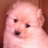 Debra W.'s profile image