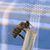 Andrea Sopher Ullberg's profile image