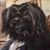 Steve Vignocchi's profile image