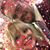 PhilandSharon Wellin's profile image