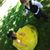 Gerardo Elizalde's profile image