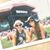 Diana Benigno's profile image