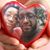 Shanette Pugh's profile image