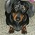 Kristi Mayhew Newton's profile image