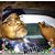 Miesha Caldwell's profile image