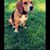 Kim Bartolomeo Chaves's profile image