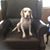 Betsy Dearth's profile image
