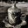 103372 -9's profile image