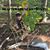 Kristin Williams Slaughter's profile image