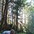 Becca Reikow Lammers's profile image