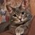 Candi Parr's profile image