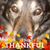 Marsha Barnett's profile image