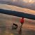 Melissa Reddinger's profile image
