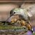 Maryjane Rissberger's profile image