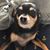 Leticia Hunnicutt's profile image