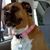 Savannah Kay's profile image