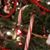 Linda Richardson's profile image