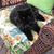 HJ Nanni's profile image