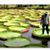 Elene Thatsallshewrote's profile image