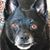 austinmaustin's profile image