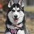 Tammy Marie McPherson's profile image