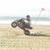 Brad Huffman's profile image