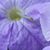 Sammie Crump's profile image