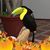 Pat Bledsoe's profile image