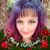 Dawn R Counter's profile image