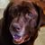 Sam Roper's profile image