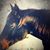 Stacie Hardin's profile image