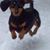 Ken Heslin's profile image