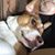 Dan Mediate's profile image