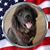 Emily Marie Telfer's profile image