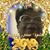 Lupita Portilla's profile image
