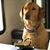 Laurie Uebelhoer Daley's profile image