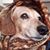 Becky Zuspan's profile image