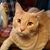 Vicky Yoder's profile image