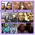 Janie Barrera's profile image