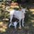 Shawn Seddinger's profile image