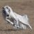 Francis Benintende's profile image