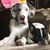Lisa Wright Hubbard's profile image