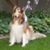 Stacy Wellington's profile image