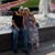 Pam Boyer Durnell's profile image
