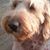 Monica Young's profile image
