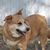 Debbie Staley's profile image