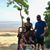 Stephanie Schuster Agee's profile image